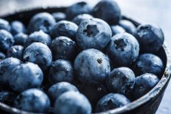 Facts About Blueberries
