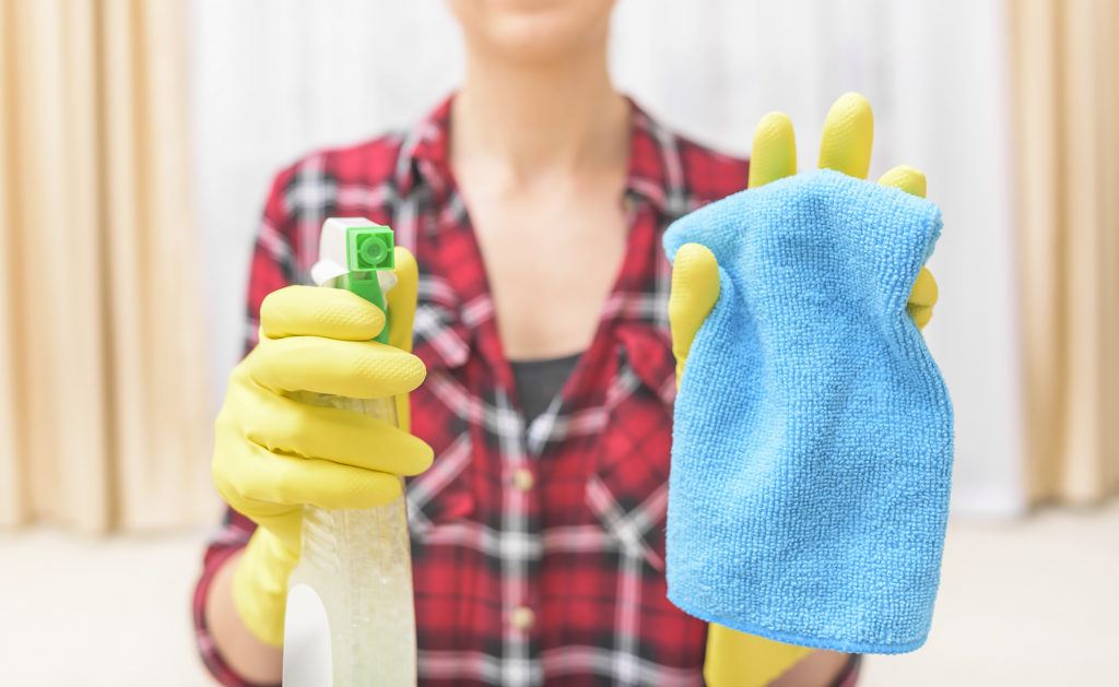 Affordable Fall Cleaning Supplies