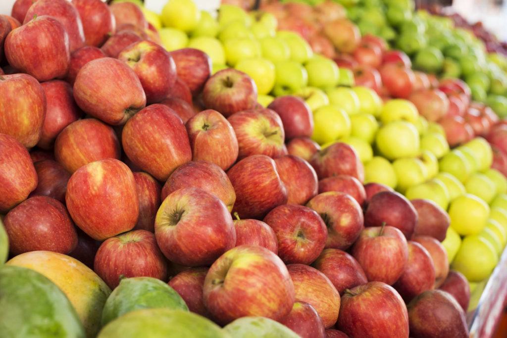 Apple Varieties for Fall