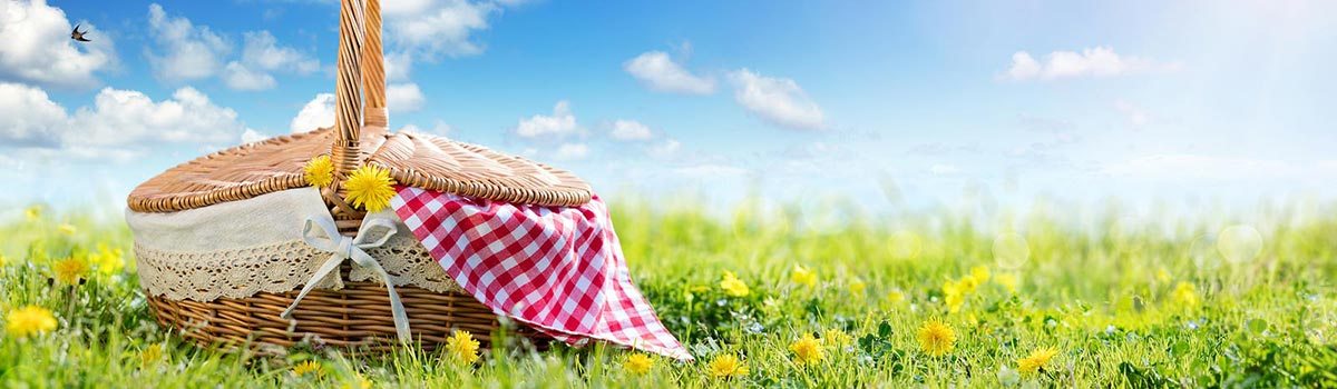 Travel Friendly Picnic Foods page banner
