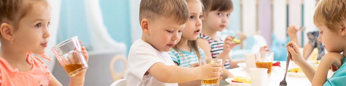 Nut Free Fun Filled Lunches 1200x300