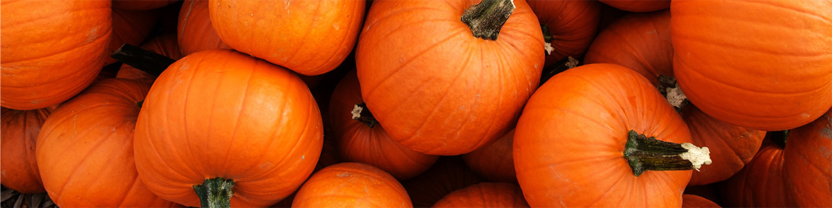 All Things Pumpkin 1200x300